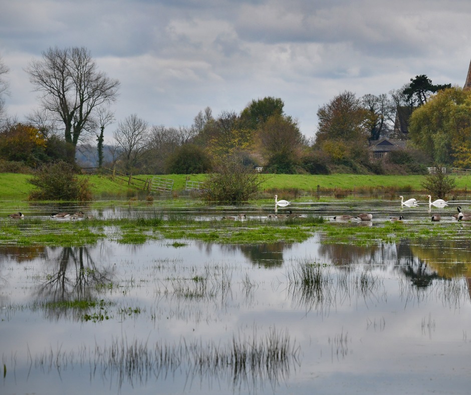 Donate to Naseem Foundation